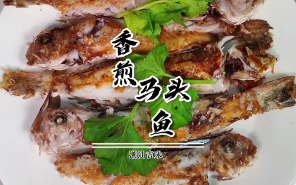 潮汕风味香煎马头鱼 腌制10分钟 外皮酥脆 下酒又下饭!#香煎马头鱼 #抖音海鲜推荐官 #一日三餐人间烟火哔哩哔哩bilibili