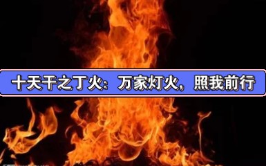 十天干之丁火:万家灯火,照我前行哔哩哔哩bilibili