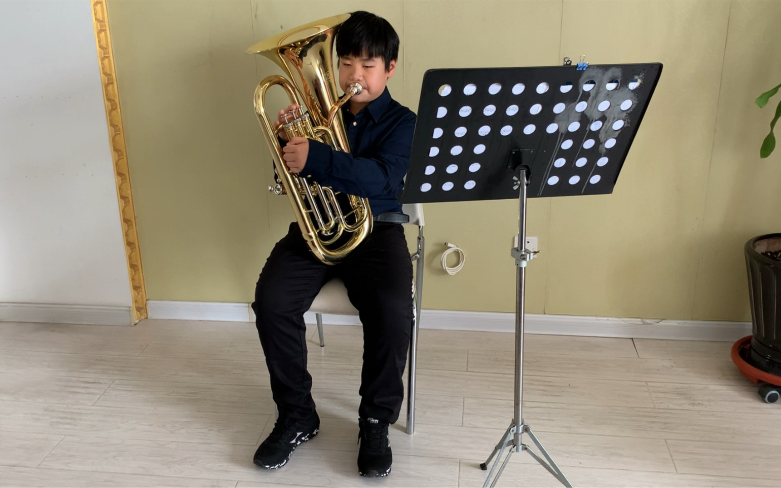 次中音号演奏《草原上升起不落的太阳》_哔哩哔哩_bilibili