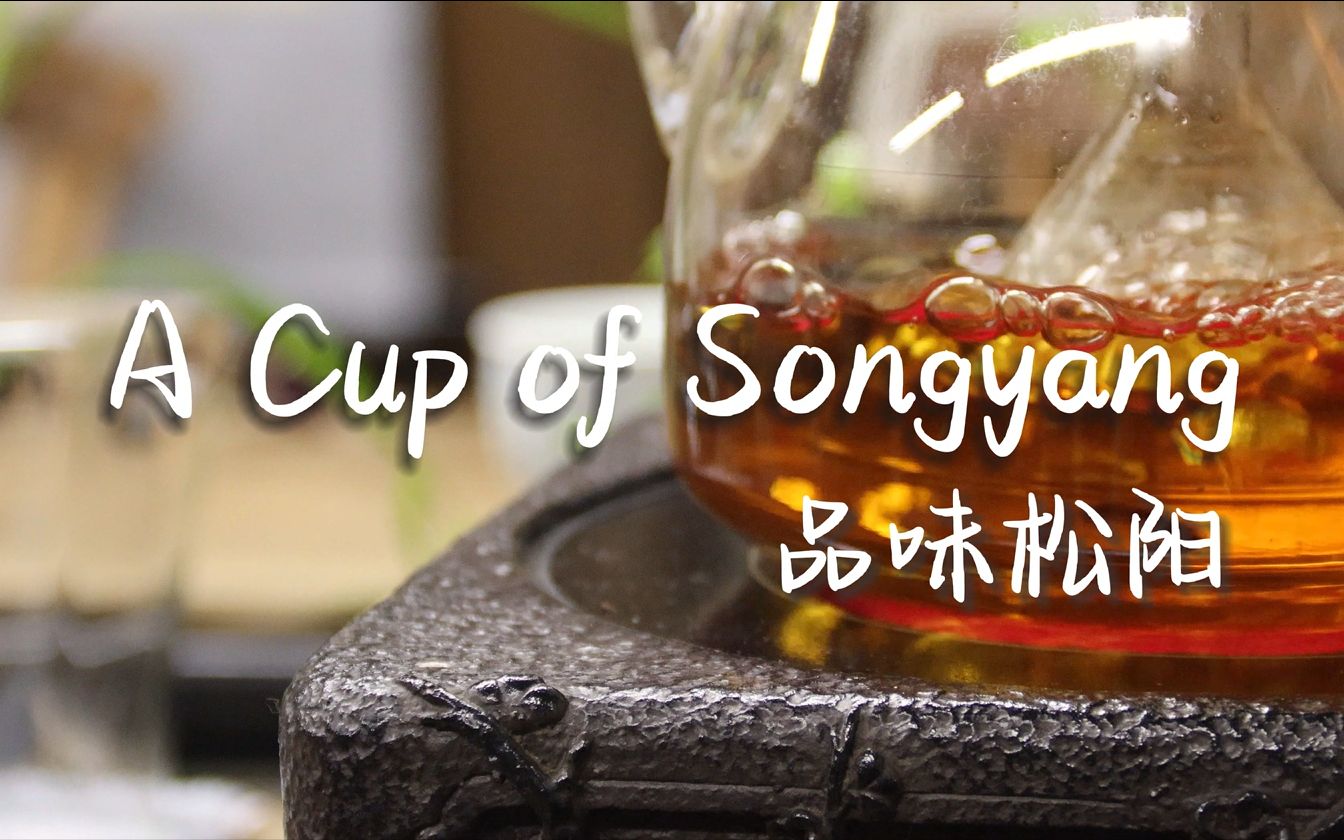 A Cup of Songyang 品味松阳哔哩哔哩bilibili