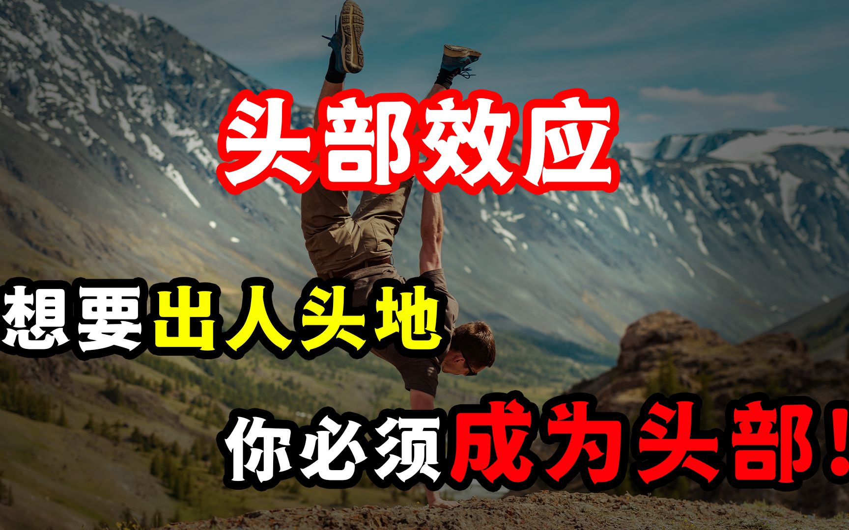 头部效应(二八法则):如何才能出人头地,成为某个领域的头部?哔哩哔哩bilibili