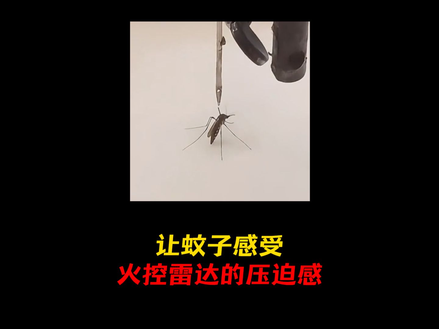 激光炮打蚊子,如此伟大的发明建议量产!