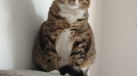 【王冻的日常】哦可爱的王冻冻啊可爱的王冻冻