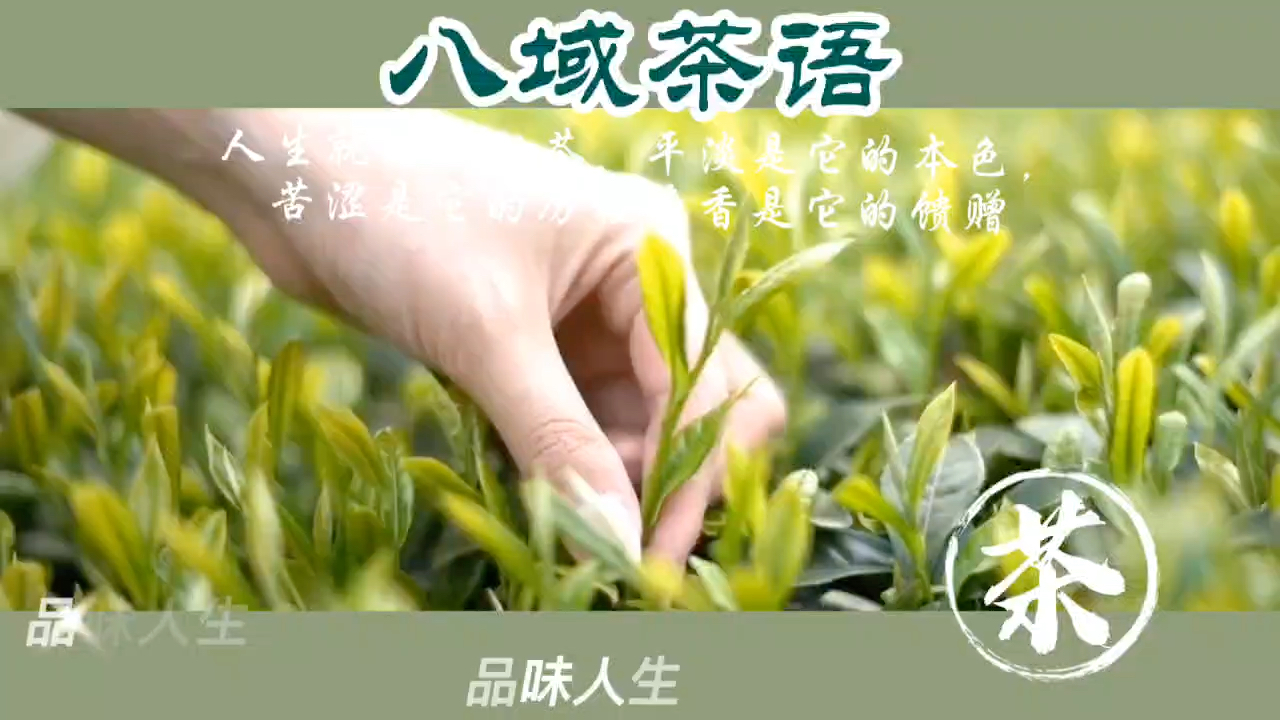 茶语时光:一盏清茶,让爱茶男人都成了徐志摩,温润如玉,嗅禅如花,爱江山美人,亦爱诗与远方.哔哩哔哩bilibili