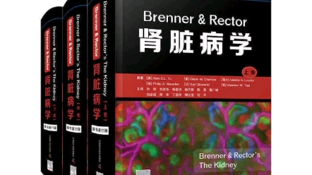 [图]Brenner & Rector肾脏病学 原书第11版 第十一版 肾内科书籍临床概览肾病肾内科学临床实用内科学新版西氏医学 中国科学技术出版社