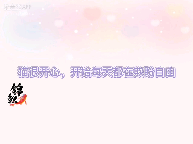 猫的故事哔哩哔哩bilibili