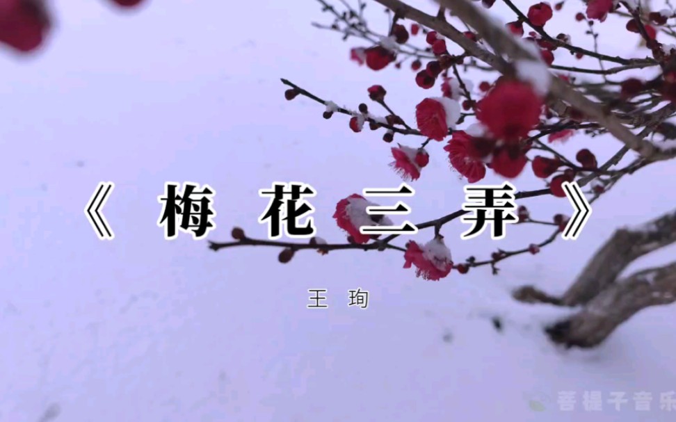 [图]中国十大名曲之《梅花三弄》，国乐经典，分享给优雅高品的你