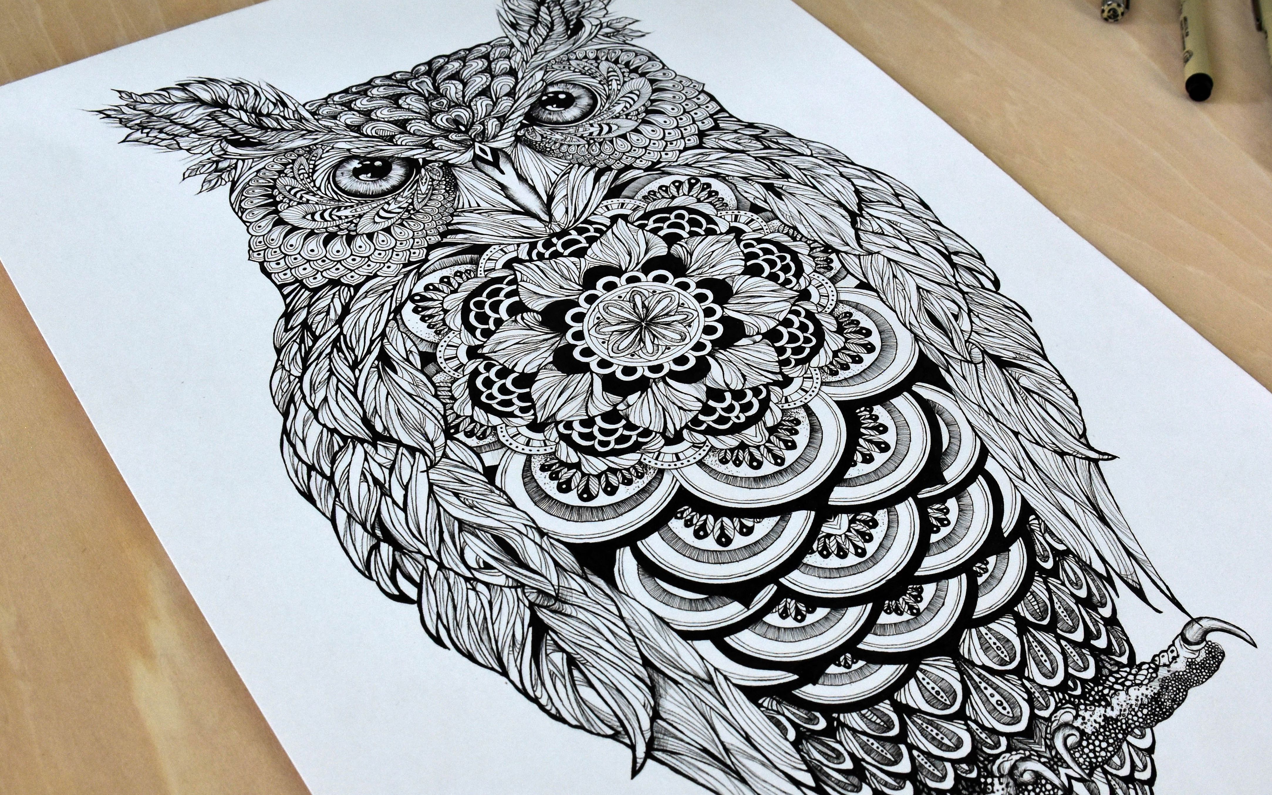 针管笔画猫头鹰