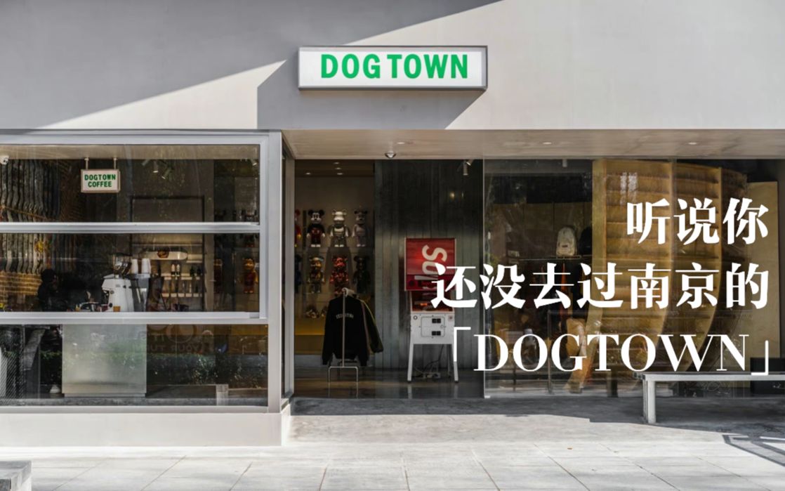 探店|听说你还没去过南京的DOG TOWN.「WOSS」哔哩哔哩bilibili