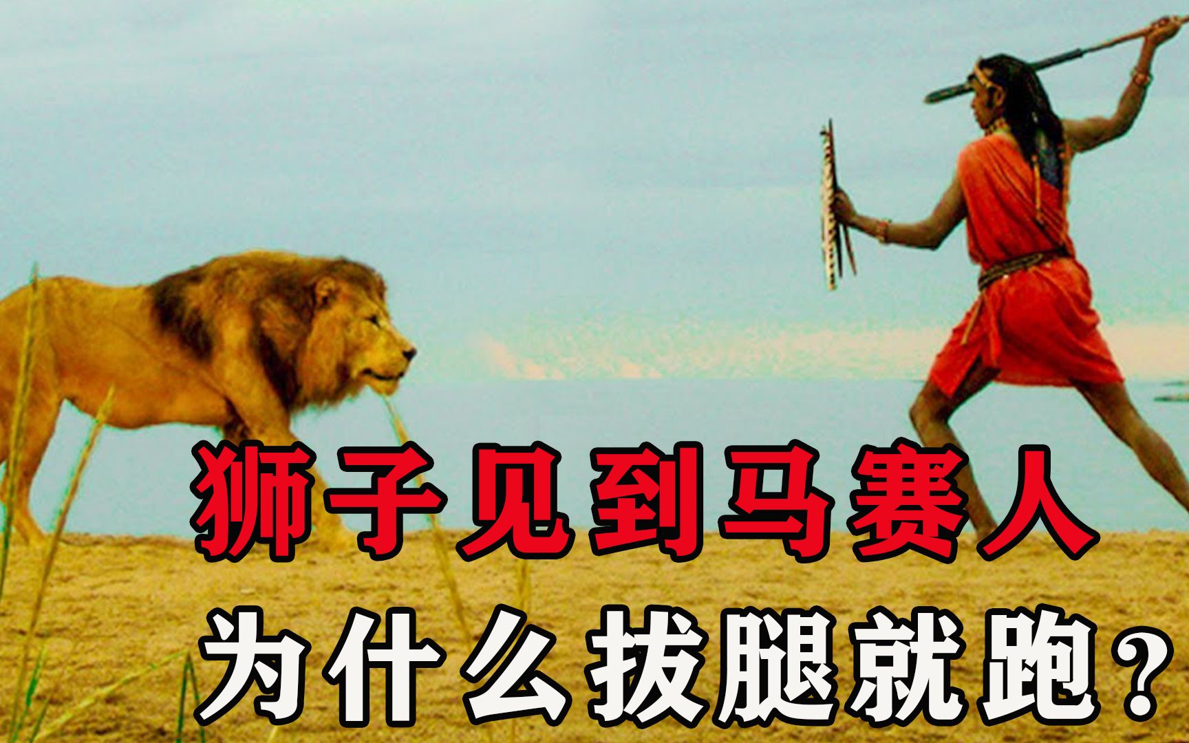 狮子作为草原之王,为什么见到马赛人拔腿就跑?马赛人有多威猛?