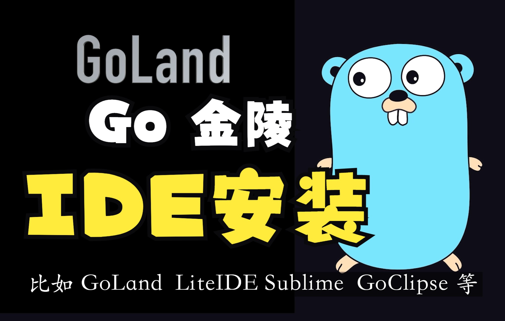 各大操作系统下安装 GoLand ,一个很强大的 Go 语言 IDE哔哩哔哩bilibili