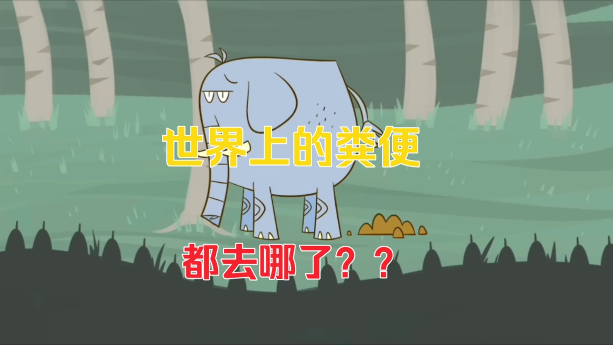 世界上的粪便都去哪了?(大自然的清洁工)哔哩哔哩bilibili