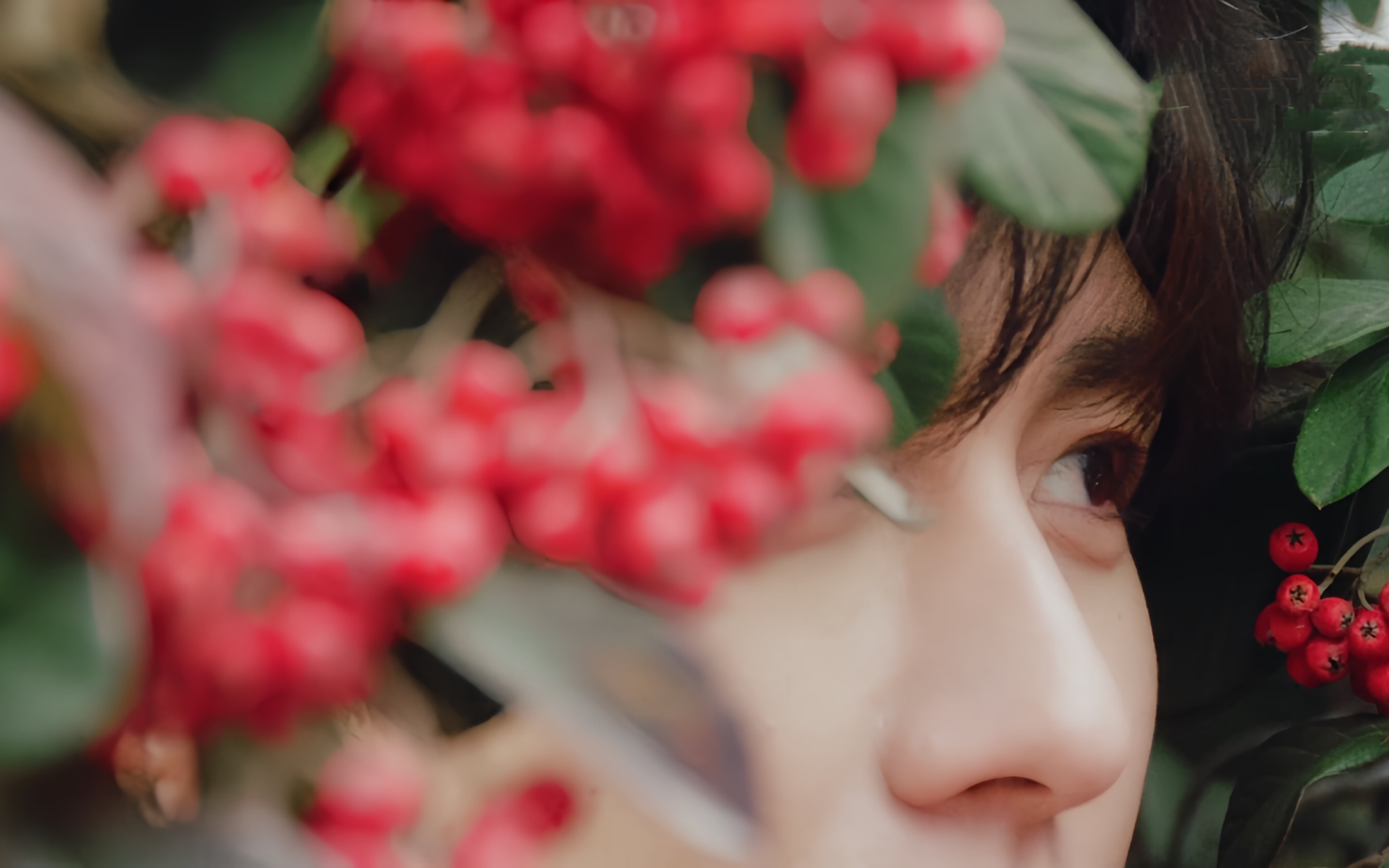 成毅 《glass man》法式浪漫