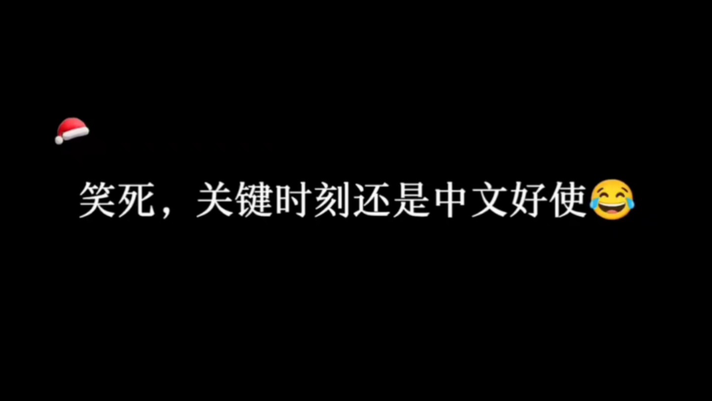 【飞来横犬】哔哩哔哩bilibili