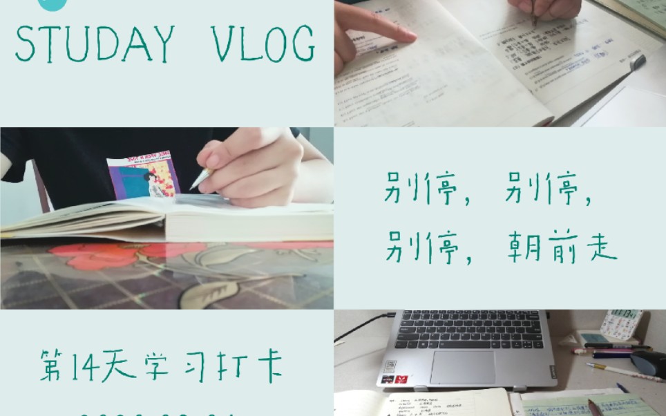 STUDAY VLOG | 第14天打卡 | 别停,继续走哔哩哔哩bilibili