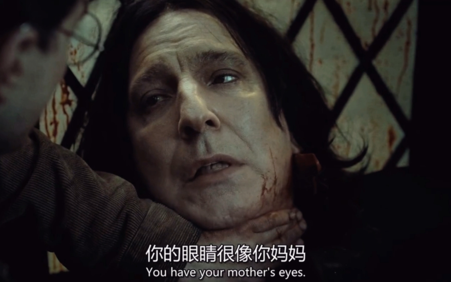 【斯内普 | 莉莉】“人人见到哈利都想看他的那道，所谓传奇的伤疤，只有斯内普，注视着那双眼眸。好像透过那双眼睛，看到他深爱的莉莉。”
