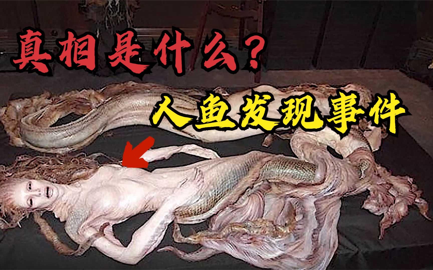 网络热门灵异视频鉴定,神秘的人鱼发现事件,异常诡异!哔哩哔哩bilibili