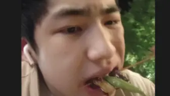 最户外的一集，致聋的一期