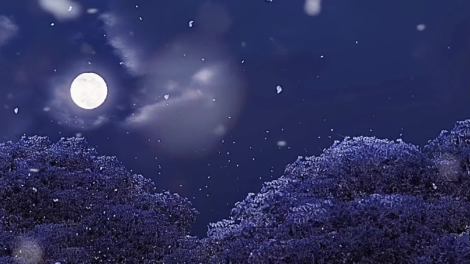 所谓深情是听到你的名字就笑颜如花美丽的神话挑战楠得见面孙楠演