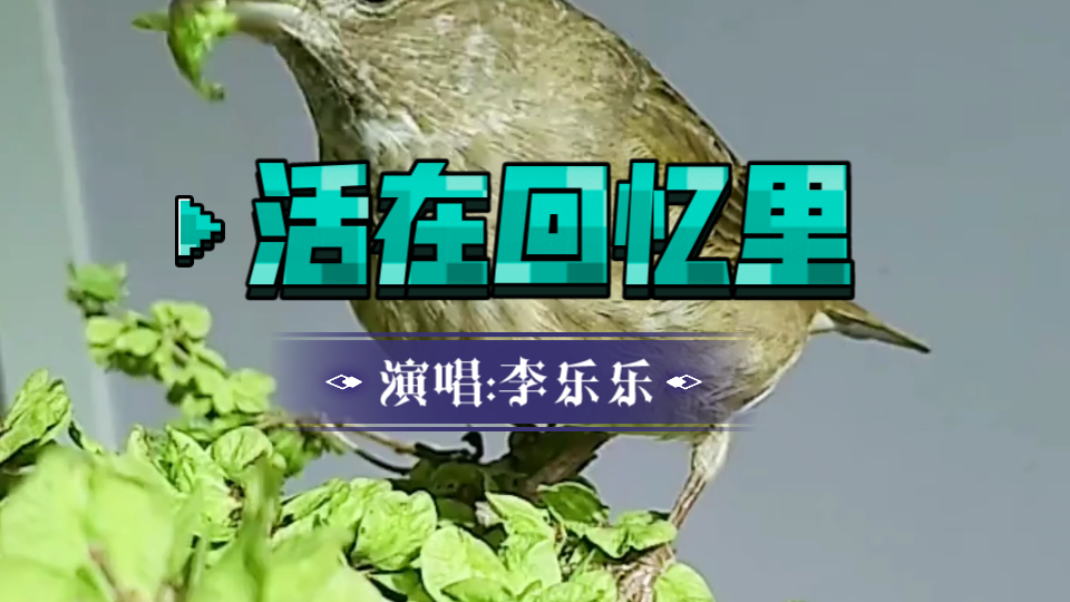 李乐乐演唱歌曲活在回忆里歌声忧郁煽情唱出了对爱情的无奈