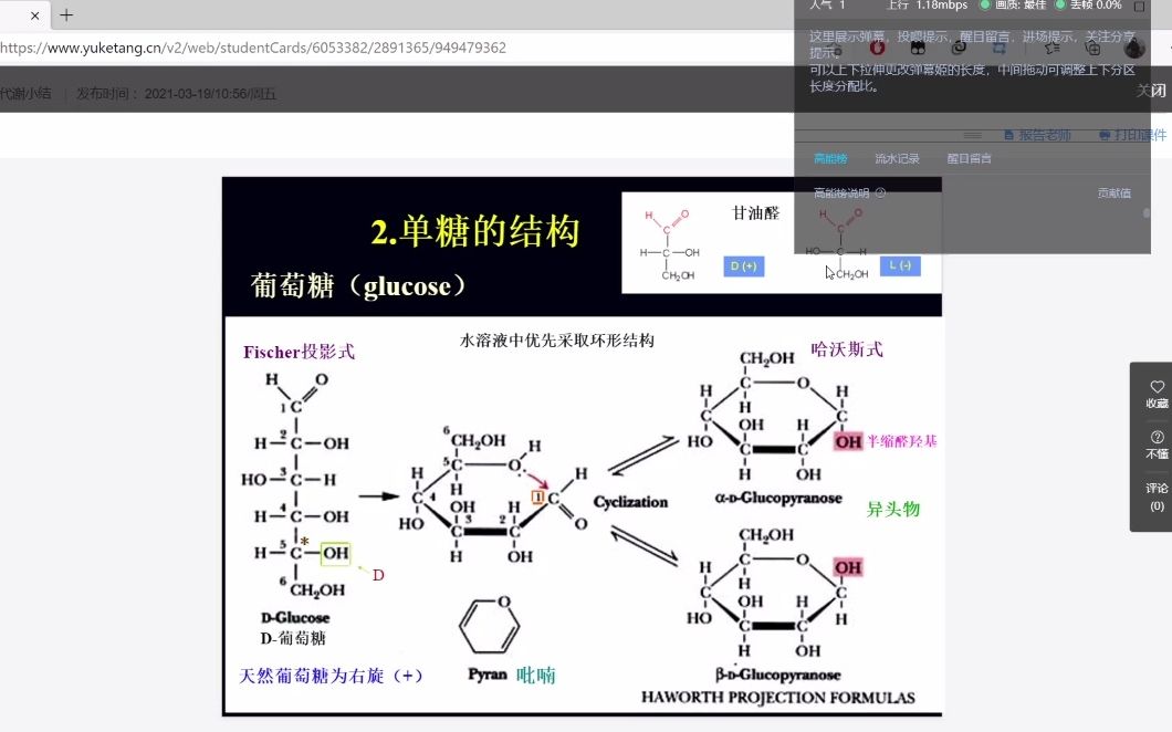 糖代谢小结与脂代谢导论哔哩哔哩bilibili