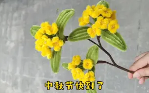 Descargar video: 扭扭棒桂花教程