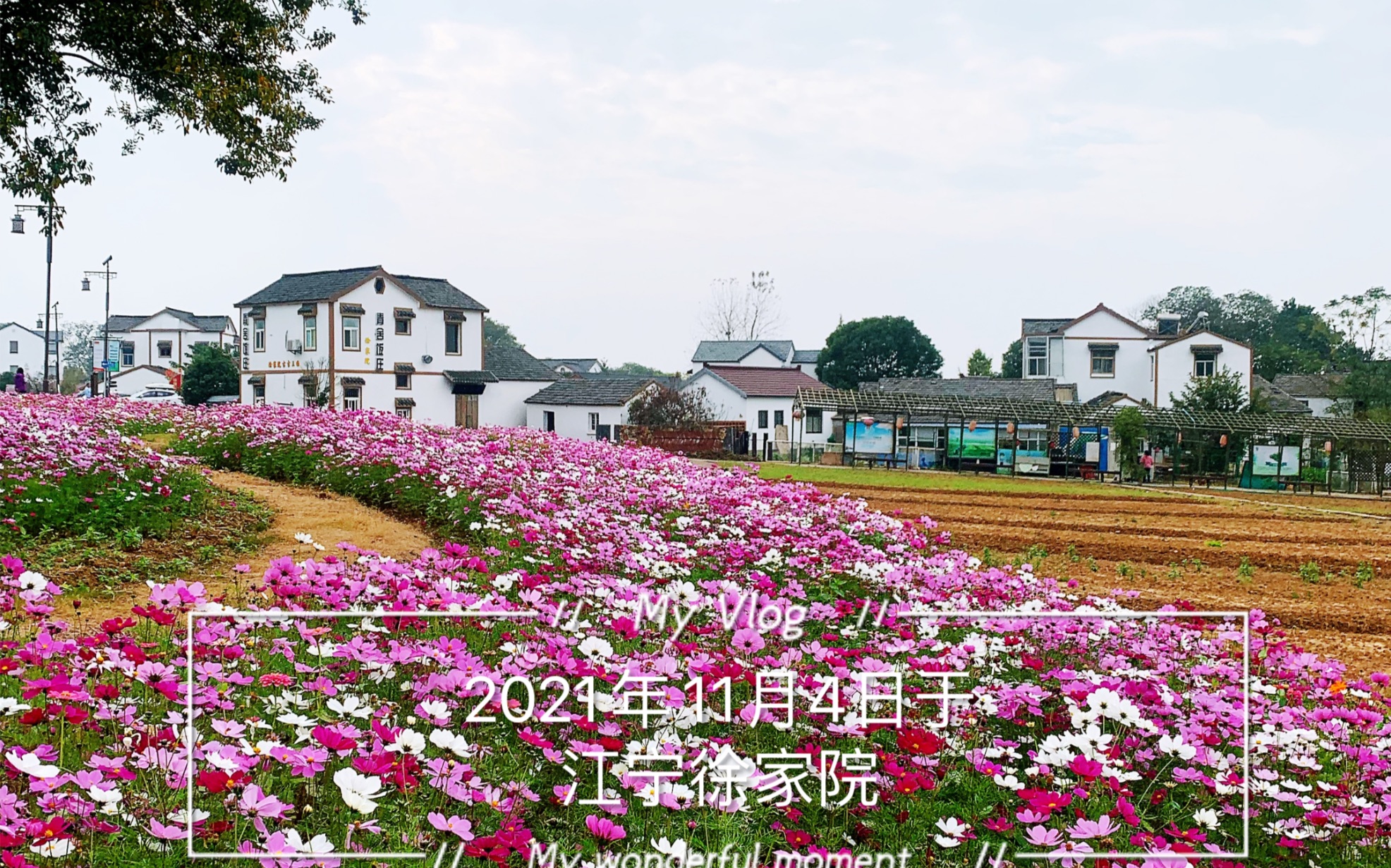 2021年11月4日江宁徐家院