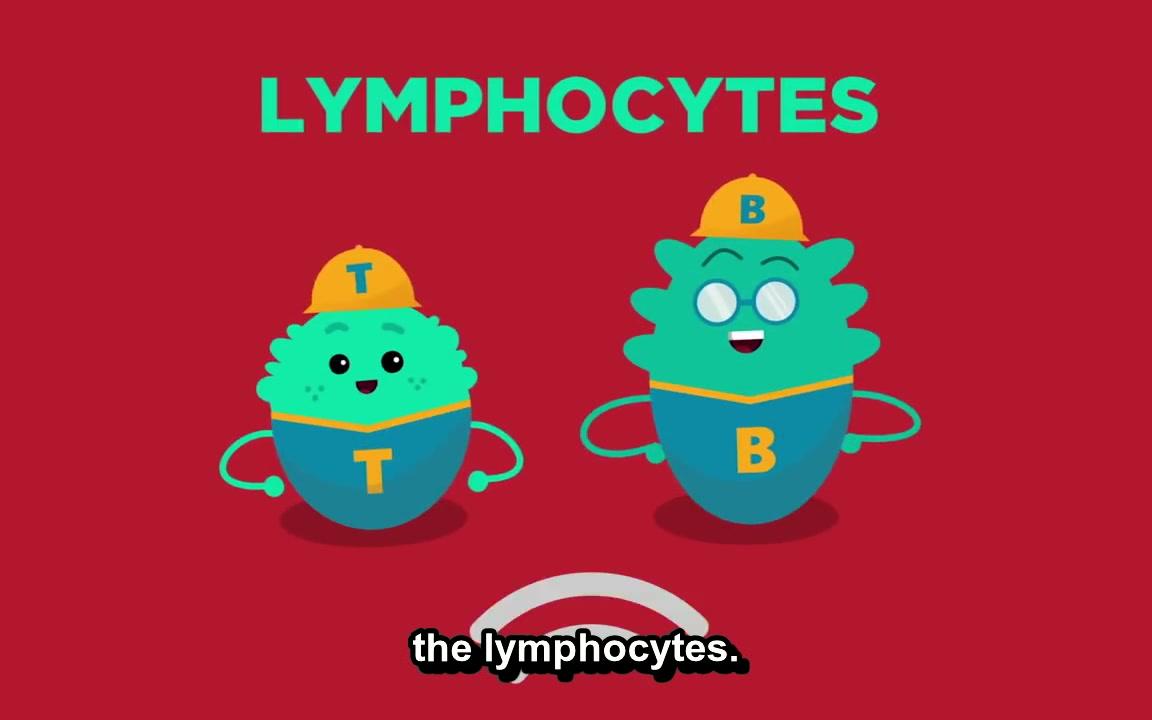 [图]【TED-Ed】How does your immune system work - Emma Bryce 英文字幕