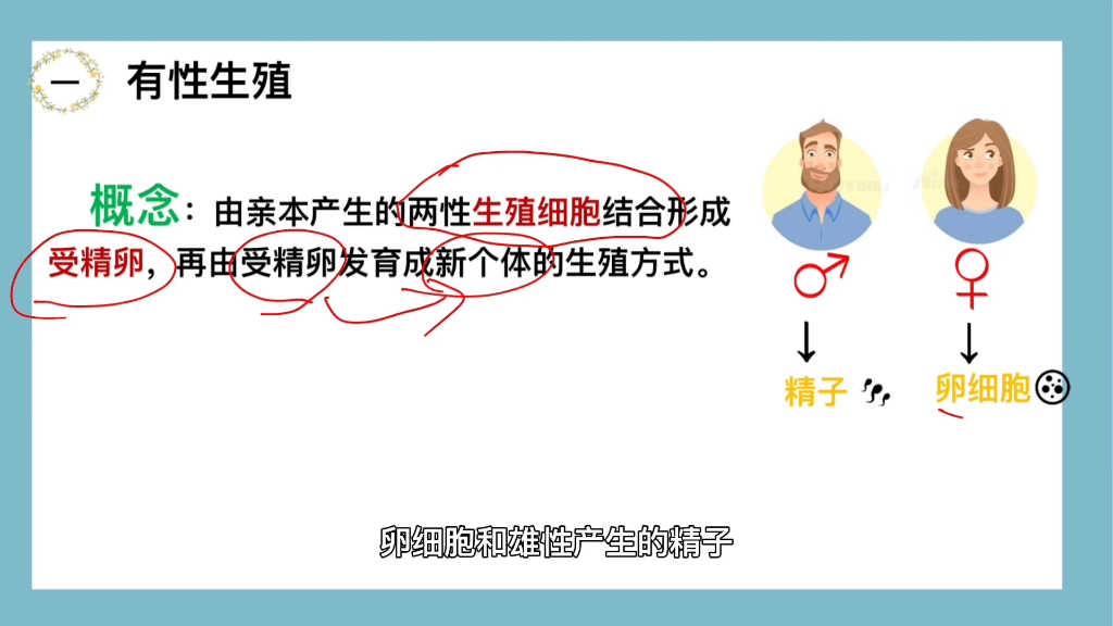 画重点‖植物的生殖重难点一:有性生殖的概念,它与无性生殖最主要的区别在哪里 #初中生物 #有性生殖 #受精卵哔哩哔哩bilibili