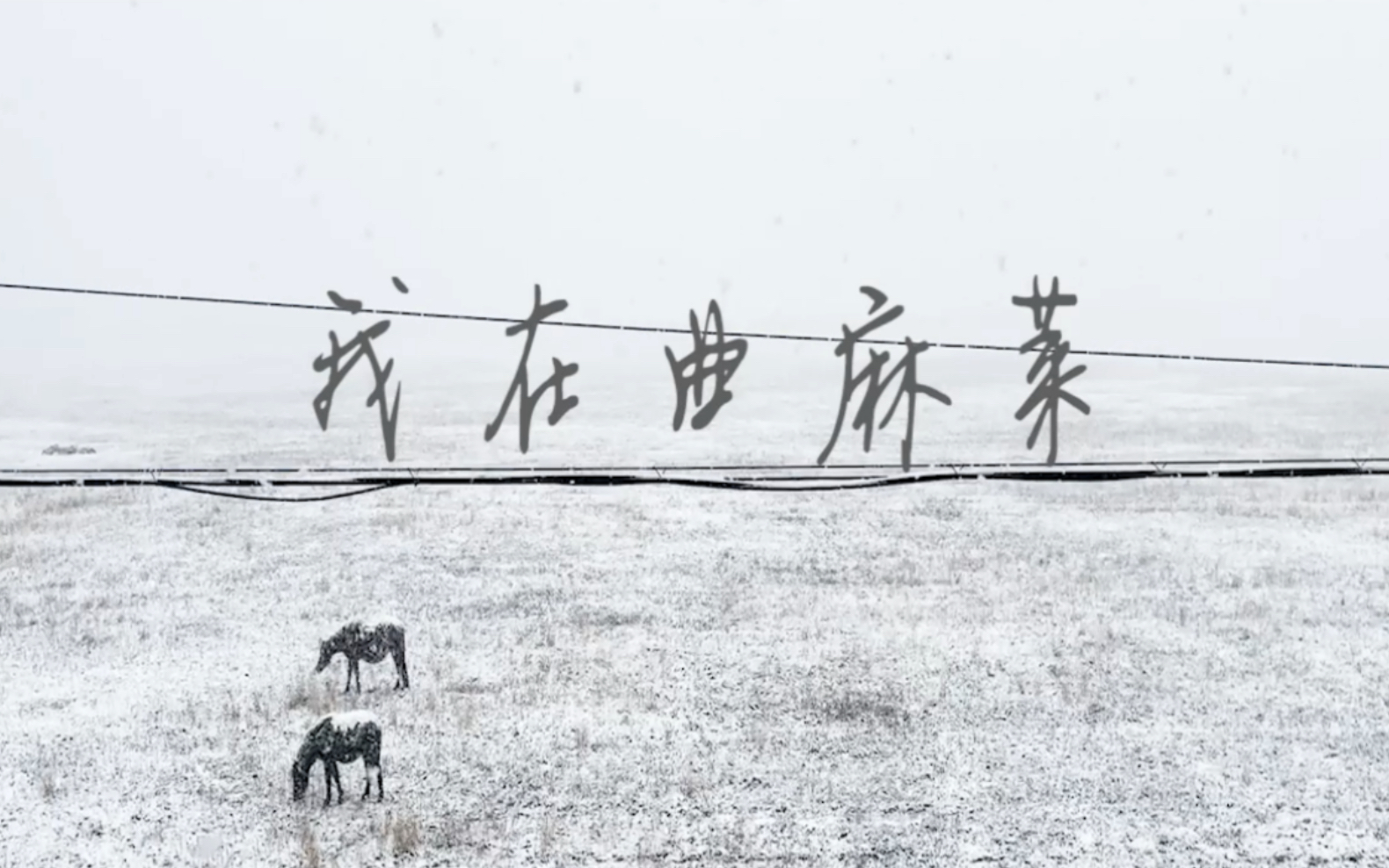 【12.5“国际志愿者日”】“听,是雪落在书上的声音!”这是哈工大(深圳)学子与曲麻莱的故事哔哩哔哩bilibili