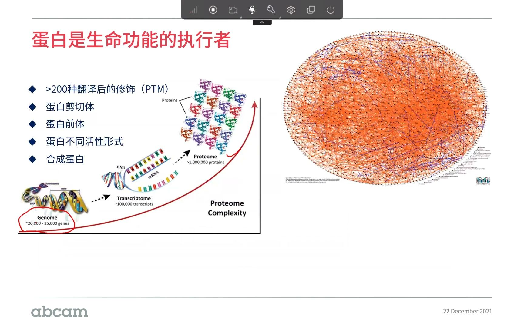IP/CoIP Immunoprecipitation Technology Guide