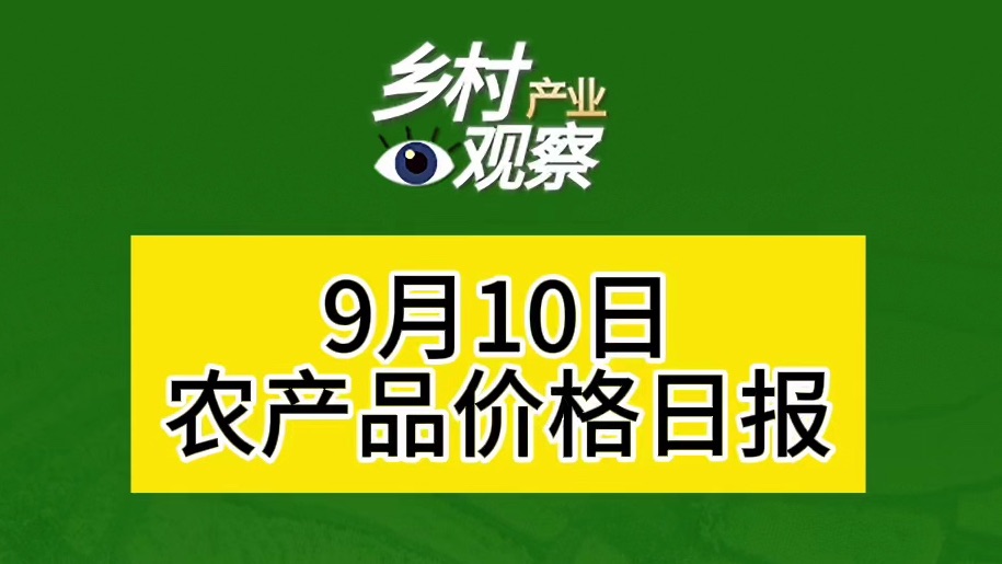 9月10日农产品价格来啦~哔哩哔哩bilibili