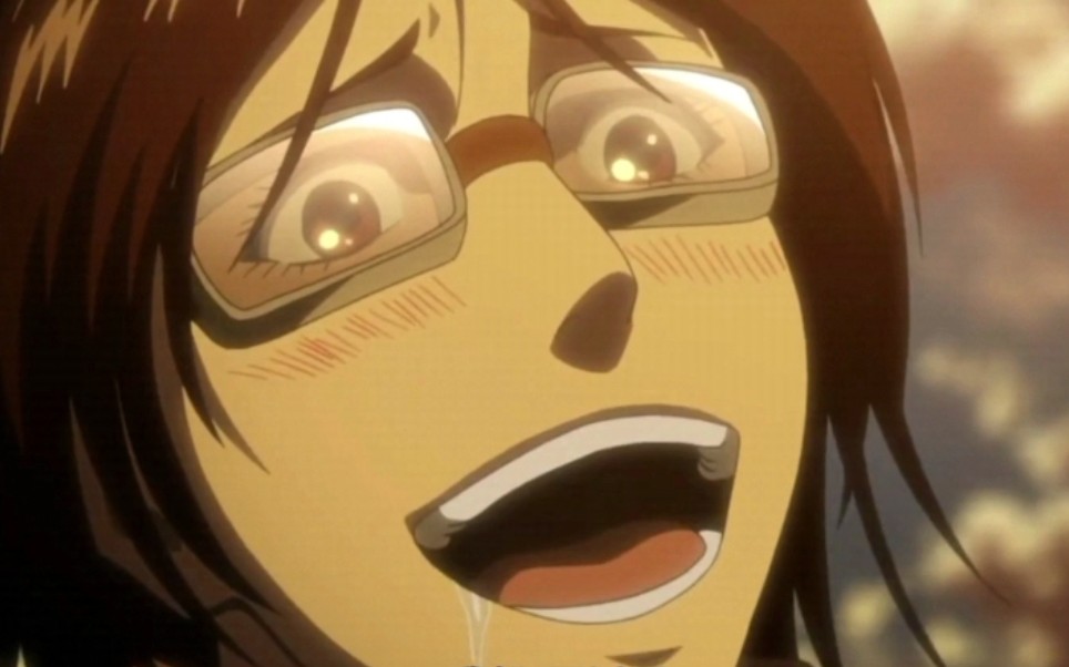 【进击的巨人】韩吉分队长的逗比时刻