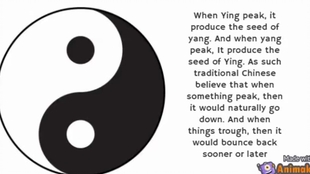 神秘的东方力量 月亮就是太极图 教你用英文介绍阴阳五行 哔哩哔哩 つロ干杯 Bilibili