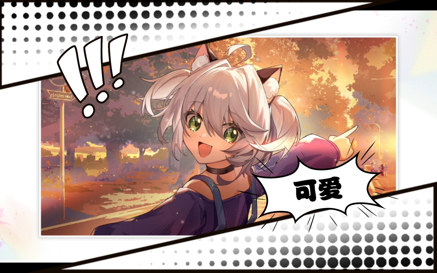 猫之城艾可showtime