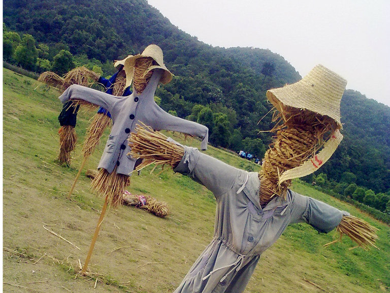 浙江油菜花田里现造型"奇葩"稻草人
