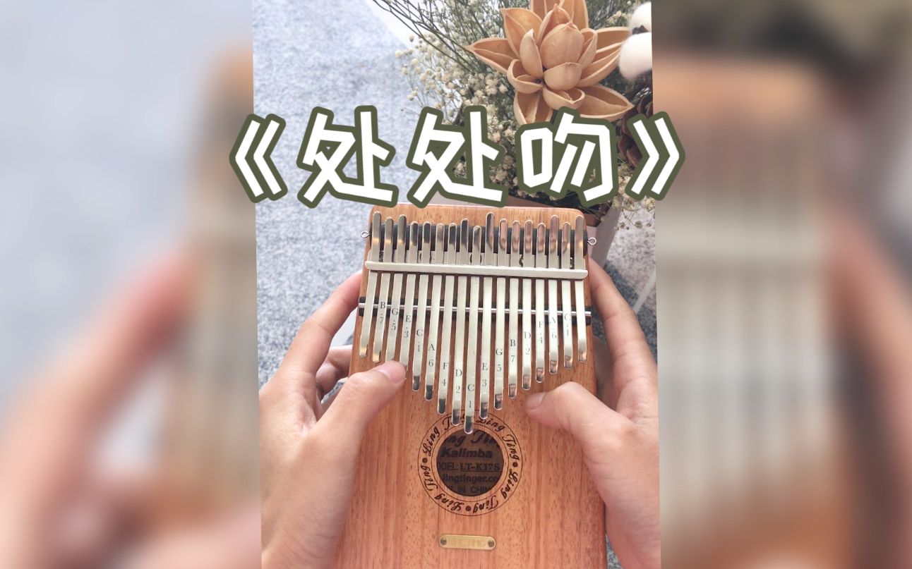 【拇指琴/卡林巴】粤语歌!杨千嬅《处处吻》