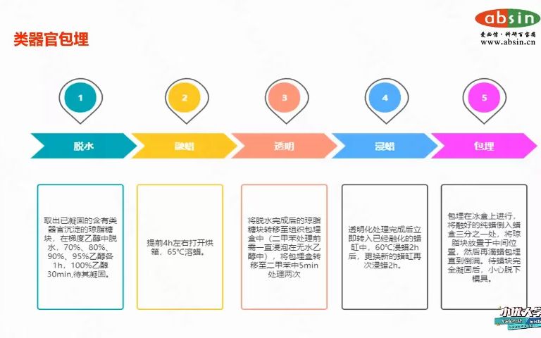 类器官包埋哔哩哔哩bilibili