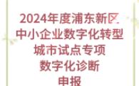 2024年度浦东新区中小企业数字化转型城市试点专项(数字化诊断)申报工作的通知哔哩哔哩bilibili