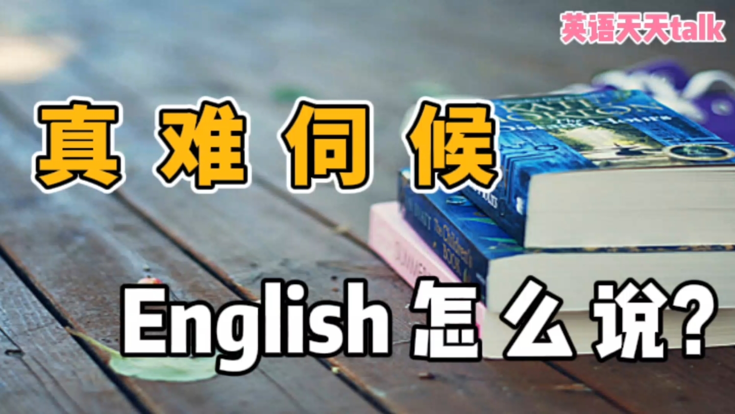 一个人“难伺候”,英语应该怎么说?学会一个单词就够了哔哩哔哩bilibili