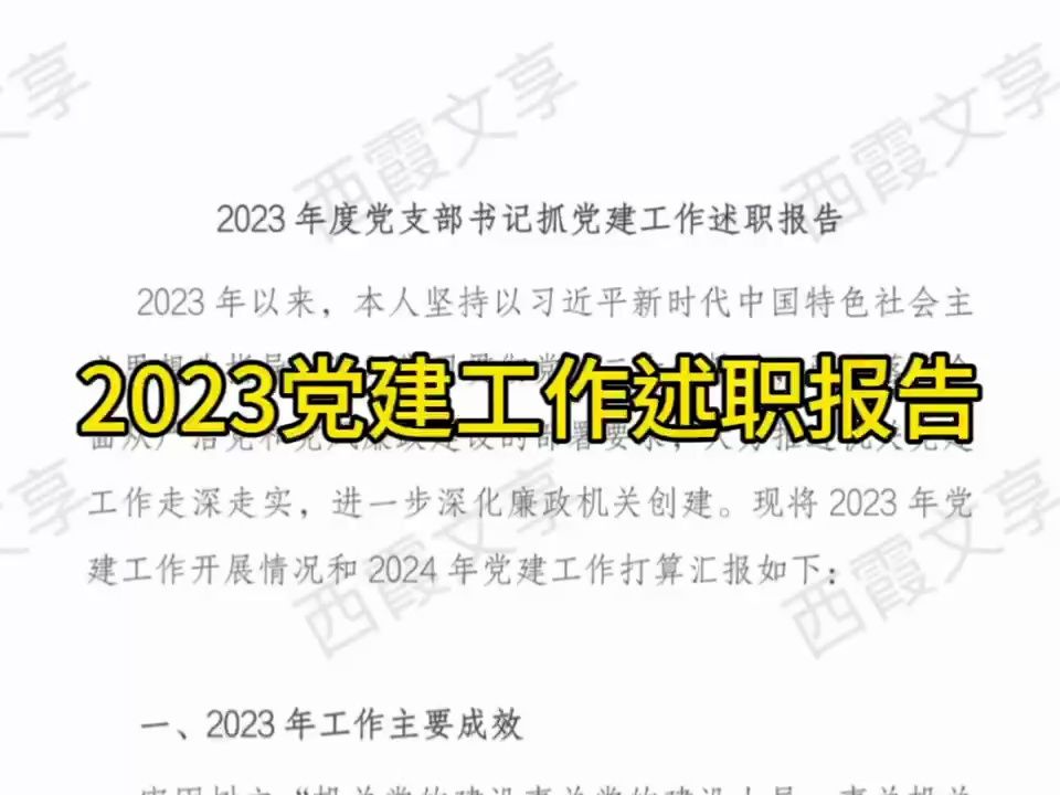 2023年度党支部书记抓党建工作述职报告哔哩哔哩bilibili