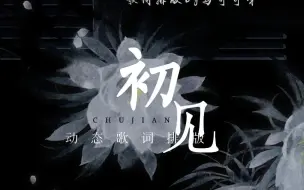 下载视频: 初见|动态歌词排版|虐向|“离心碎 空流泪 人不归”|《东宫》主题曲