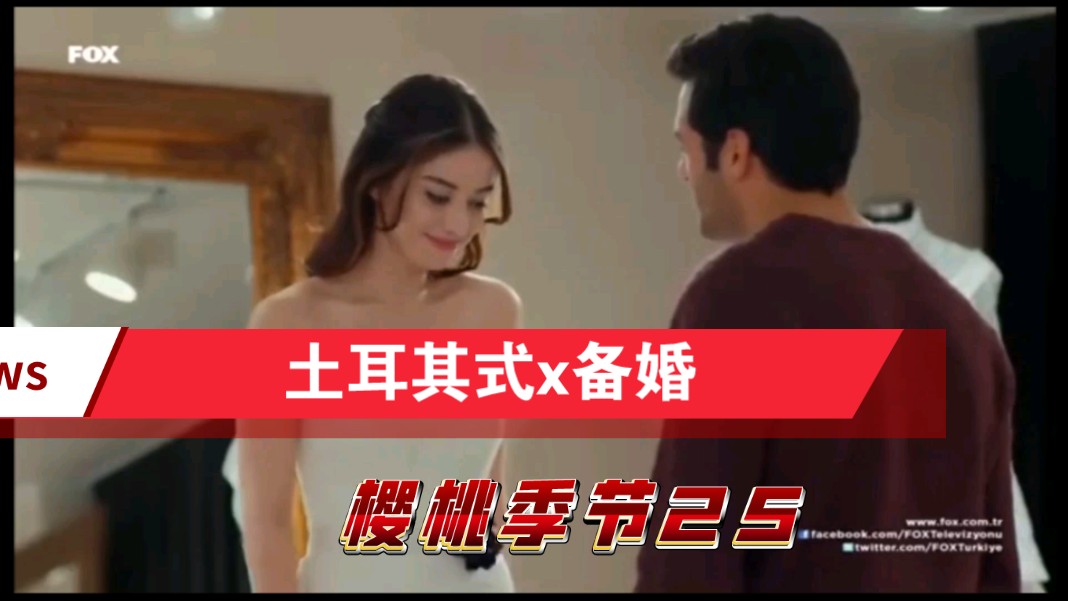 【土耳其爱情】《樱桃季节》25cut 备婚 指甲花之夜