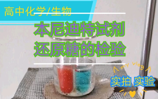 [图]【生物/化学实验】还原性糖检验 本尼迪特试剂检验还原性糖 对比非还原性糖