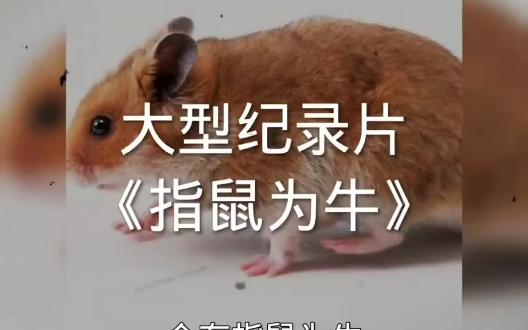 【开心每一天】指鼠为牛哔哩哔哩bilibili