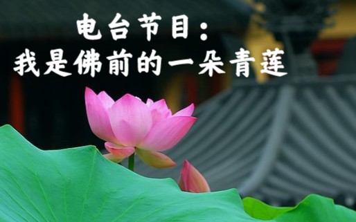 [图]【电台节目】江苏音乐台《都是夜归人》|张艺|我是佛前的一朵青莲