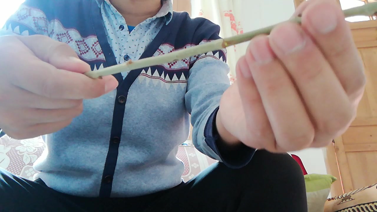 农村娃在春天用树枝自制的一种哨子,你小时候玩过吗?