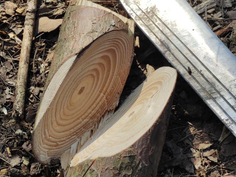 第一次剁湿硬木～檵木