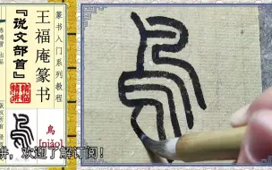 下载视频: 这什么鸟字？没错，就是“鸟”字