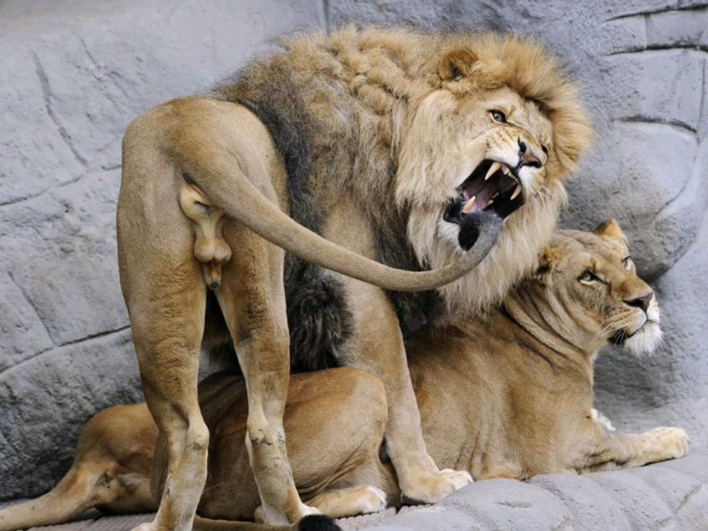 圈1_哔哩哔哩_bilibili